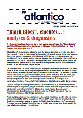 « Black Blocs », émeutes… : analyses & diagnostics