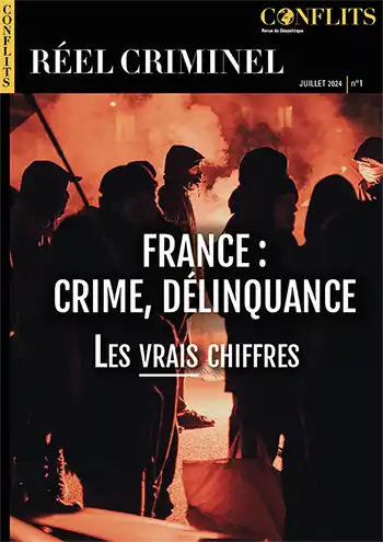 État de la sécurité réelle en France : ce que nous dissimule le ministère de l’Intérieur et comment